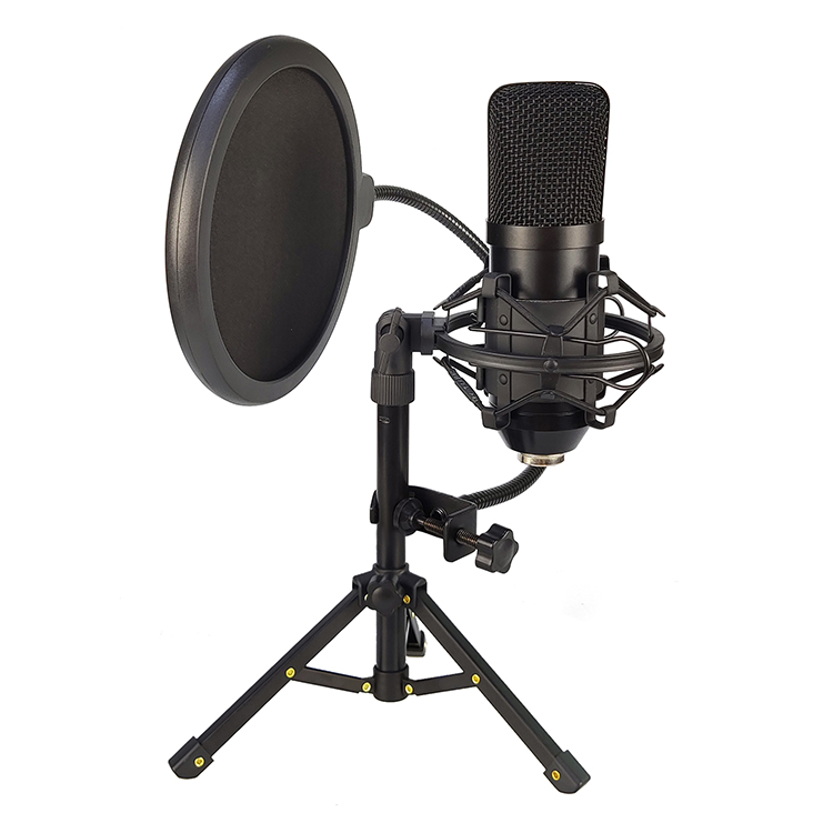 Bm700 condenser microphone